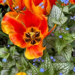 Meet your Posher, Bats